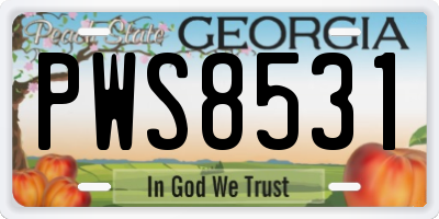 GA license plate PWS8531