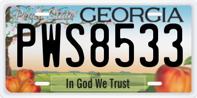 GA license plate PWS8533