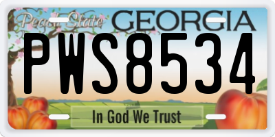 GA license plate PWS8534