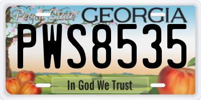 GA license plate PWS8535