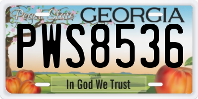 GA license plate PWS8536