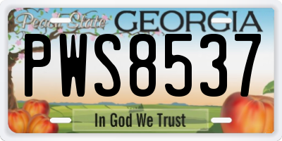 GA license plate PWS8537