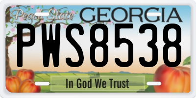 GA license plate PWS8538