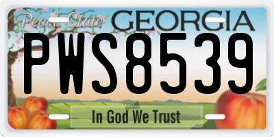 GA license plate PWS8539