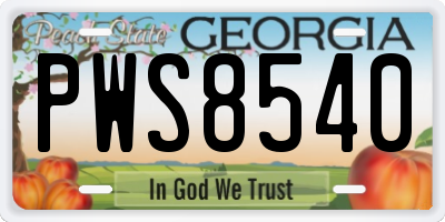 GA license plate PWS8540