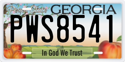 GA license plate PWS8541
