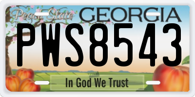 GA license plate PWS8543