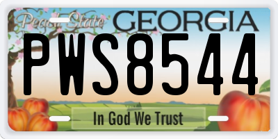 GA license plate PWS8544