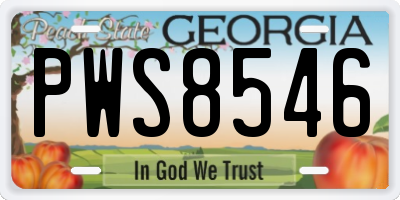 GA license plate PWS8546
