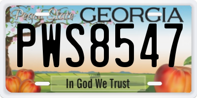 GA license plate PWS8547