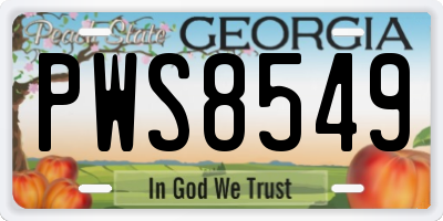 GA license plate PWS8549