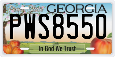 GA license plate PWS8550