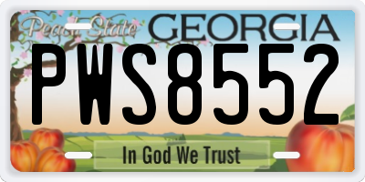 GA license plate PWS8552