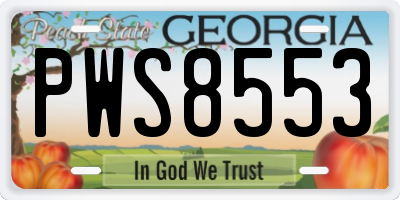 GA license plate PWS8553