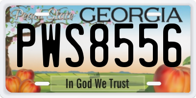 GA license plate PWS8556
