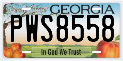 GA license plate PWS8558
