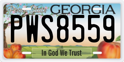 GA license plate PWS8559