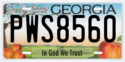 GA license plate PWS8560