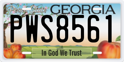 GA license plate PWS8561