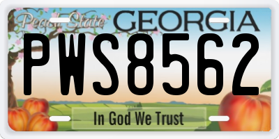 GA license plate PWS8562