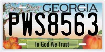 GA license plate PWS8563