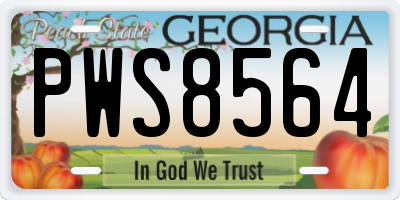 GA license plate PWS8564