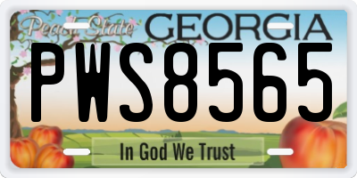 GA license plate PWS8565