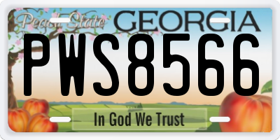 GA license plate PWS8566