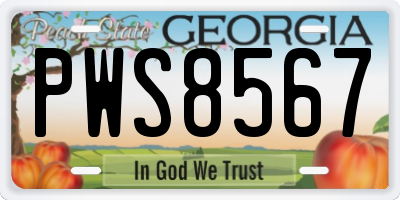 GA license plate PWS8567