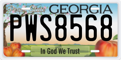 GA license plate PWS8568