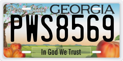 GA license plate PWS8569