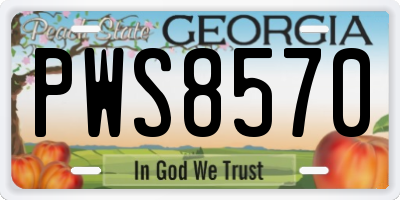 GA license plate PWS8570