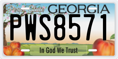 GA license plate PWS8571