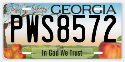 GA license plate PWS8572