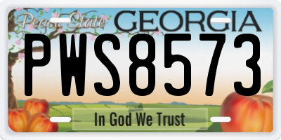 GA license plate PWS8573