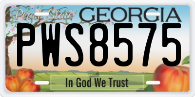 GA license plate PWS8575