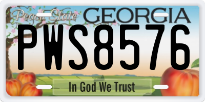 GA license plate PWS8576