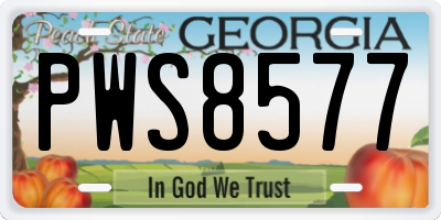 GA license plate PWS8577