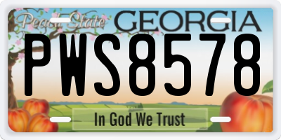 GA license plate PWS8578