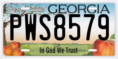 GA license plate PWS8579