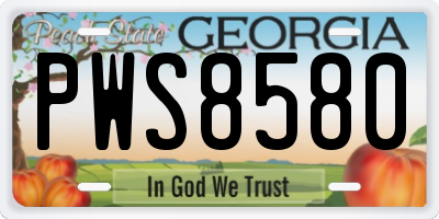 GA license plate PWS8580