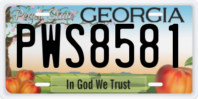 GA license plate PWS8581