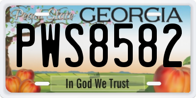 GA license plate PWS8582