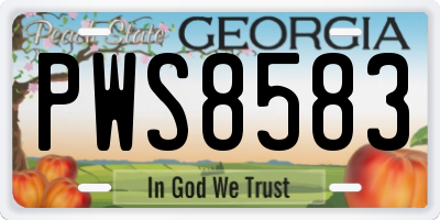 GA license plate PWS8583