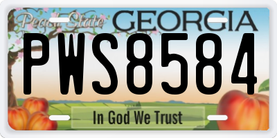 GA license plate PWS8584