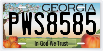 GA license plate PWS8585