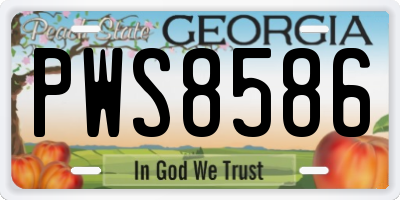 GA license plate PWS8586