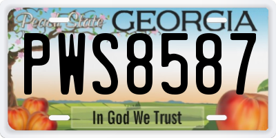 GA license plate PWS8587
