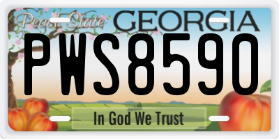 GA license plate PWS8590