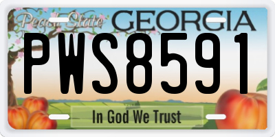 GA license plate PWS8591